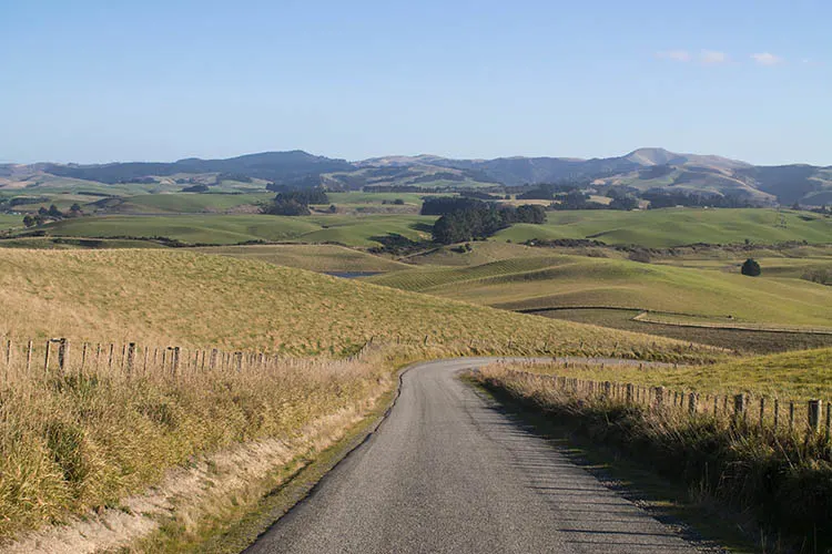 The best things to do in Moeraki, New Zealand -- driving to Kaika