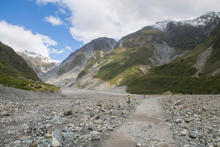 The Fox Glacier Track, West Coast, New Zealand