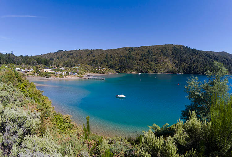Viewpoint above Elaine Bay, Marlborough Sounds, New Zealand