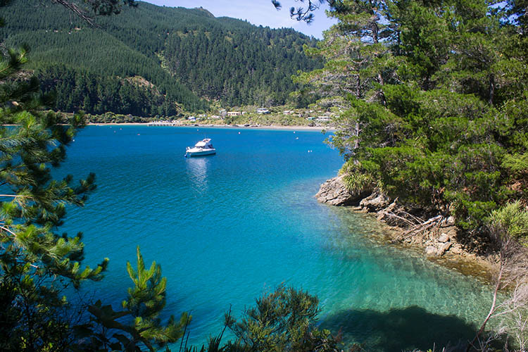 Hiking at Elaine Bay, Marlborough Sounds, New Zealand