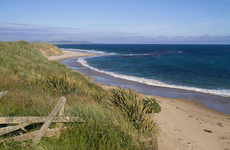 Beach view from Waipapa Point Lighthouse, New Zealand