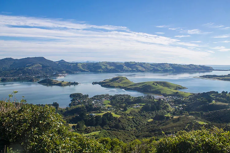 Stunning view of Otago Harbour from the Harbour Cone Track, Dunedin, New Zealand