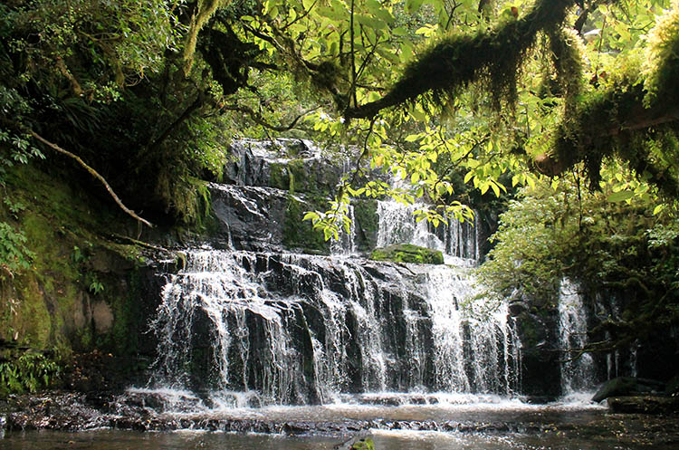 Purakaunui Falls, the Catlins, New Zealand