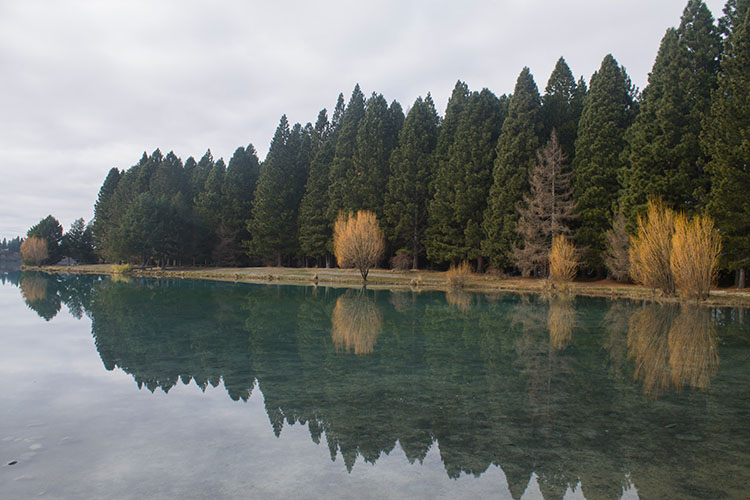 A picnic spot at Lake Ruataniwha, Mackenzie Basin, New Zealand