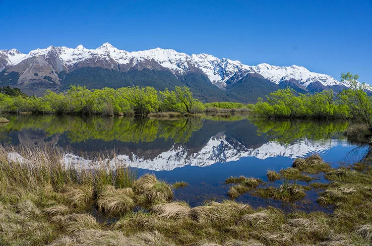 14 the Best Walks in Queenstown (For Every Fitness Level) - the South Island NZ Travel Blog