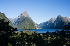 25 of the Best Things to Do in Fiordland National Park - See the South ...