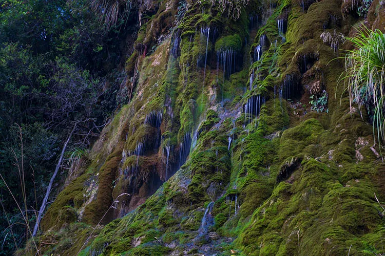 Whispering Falls, Nelson, New Zealand
