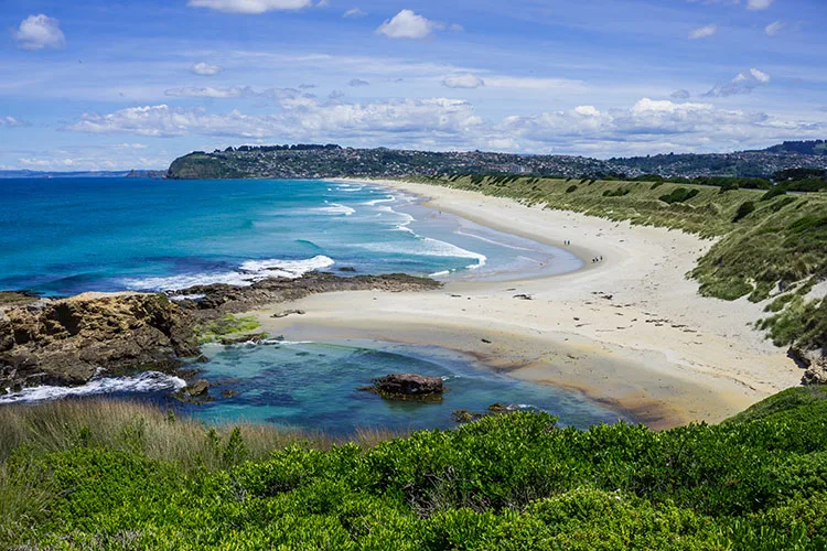 St Clair St Kilda Beach Dunedin See The South Island Nz Travel Blog