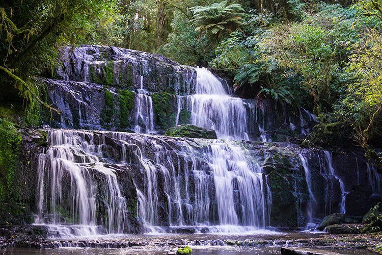 Purakaunui Falls, the Catlins, New Zealand
