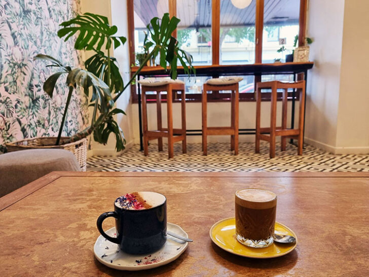 25 of the Best Cafés in Dunedin From the City Centre to the Suburbs See the South Island NZ