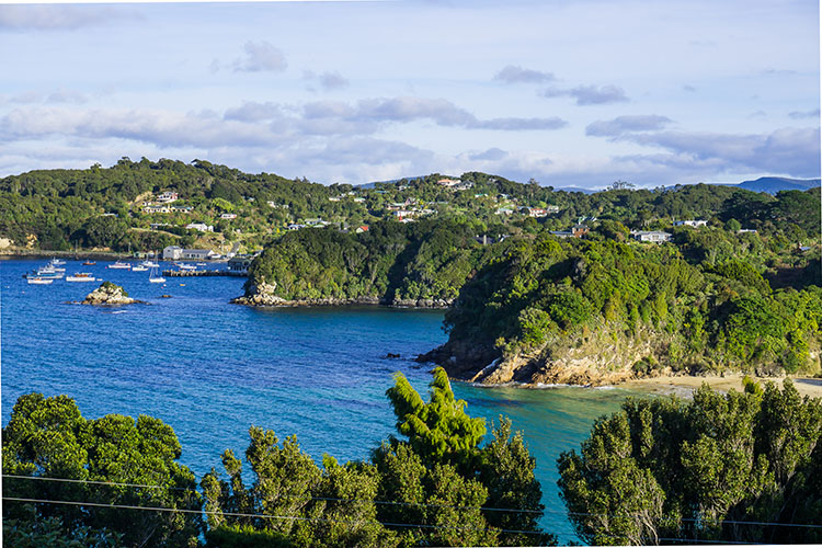 17 of the best things to do on Stewart Island, New Zealand