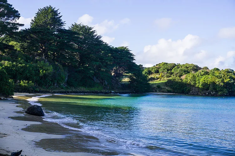 Hiking The Horseshoe Point Track Stewart Island See The South Island hiking-the-horseshoe-point-track-stewart-island-see-the-south-island