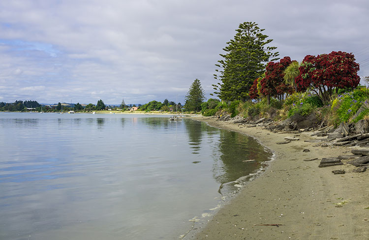Beaches in Motueka, New Zealand