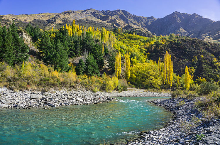 Top 12 Rivers in the South Island, New Zealand
