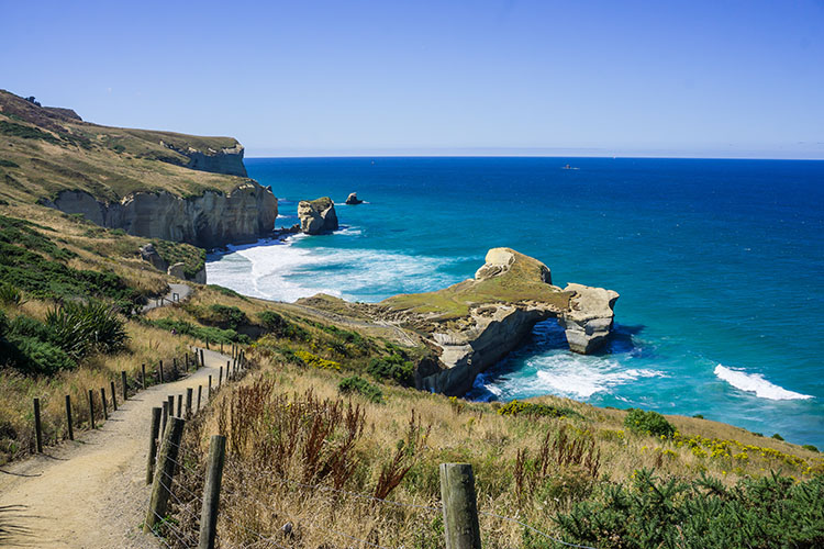 Dunedin Travel Guide Everything You Need To Know To Plan Your Trip 