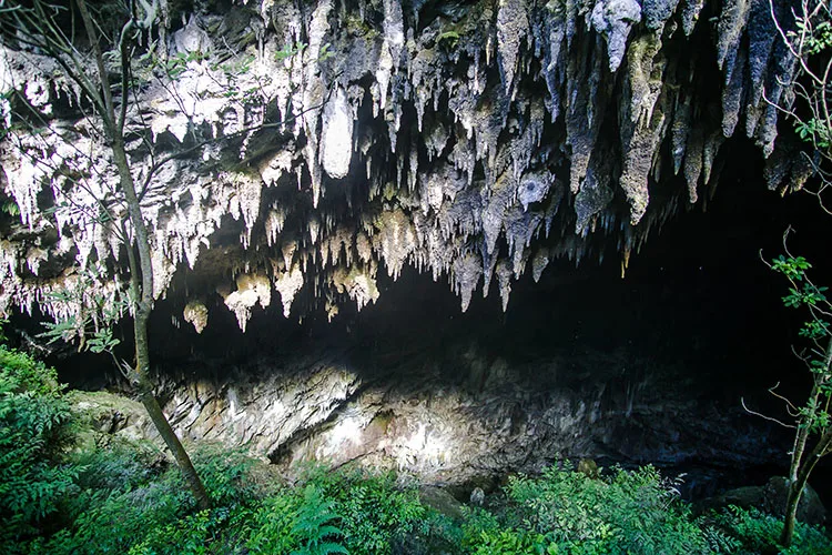 Rawhiti Cave entrance, Takaka, New Zealand